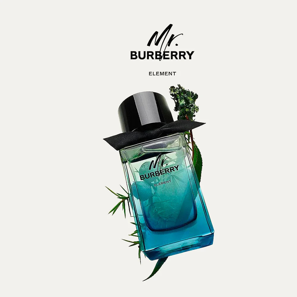 Mr. Burberry Element 5.0 oz EDT for men