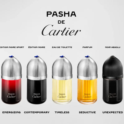Pasha Noir Absolu Parfum 3.4 oz for men