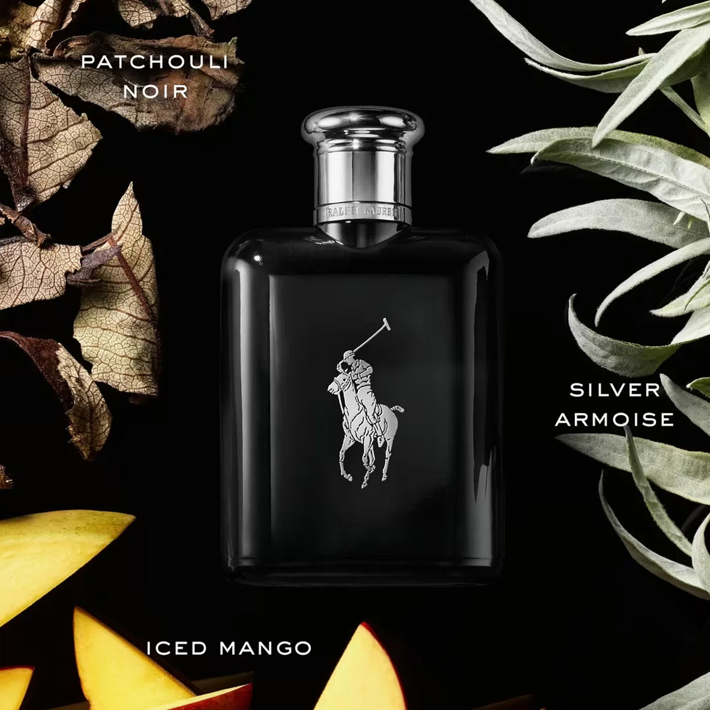 Polo Black 2.5 oz EDT for men
