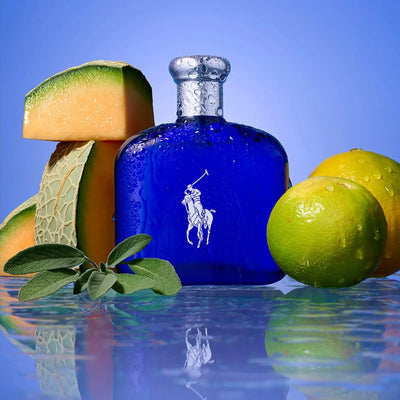 Polo Blue 2.5 oz EDT for men