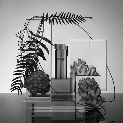 Loewe 7 Plata 3.4 oz EDT  for men